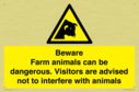 beware-farm-animals-can-be-dangerous-visitors-are-advised-not-to-interfere-with-~